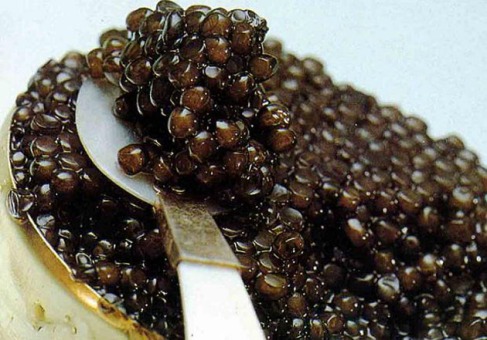 caviar_caviar1