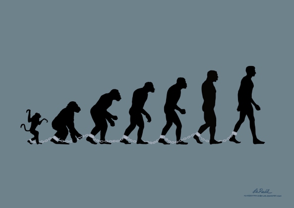 evolucion s