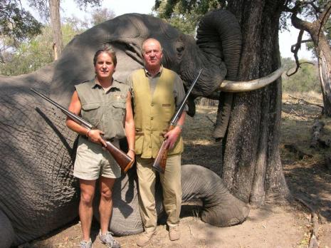 rey mata elefante botswana