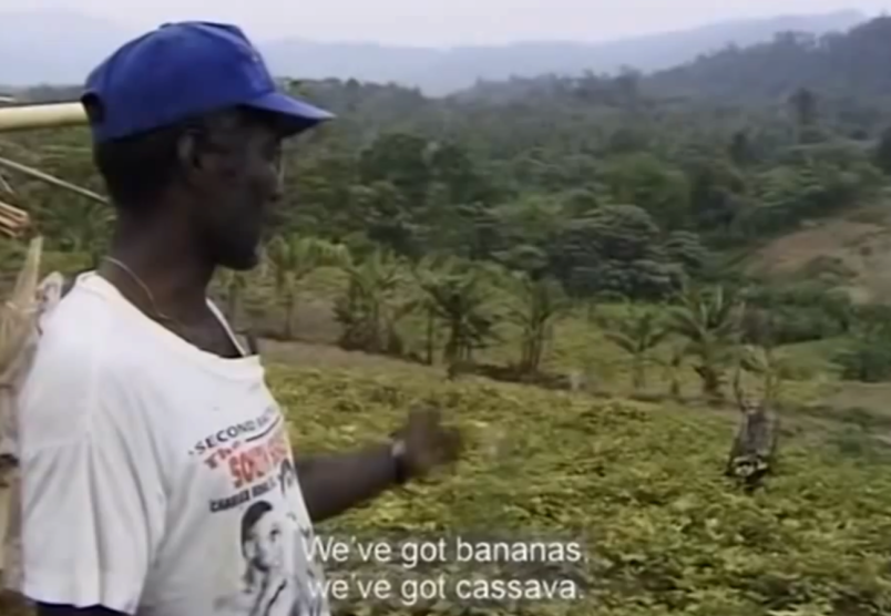 Plantaciones de los revolucionarios de Bougainville